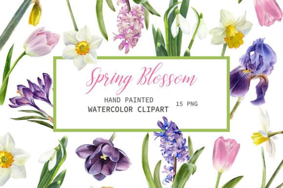 Download Spring Watercolor Flowers - Spring watercolor Collection