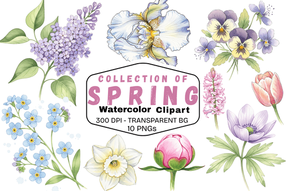 Download Delicate Spring Watercolor Florals - Spring watercolor Collection